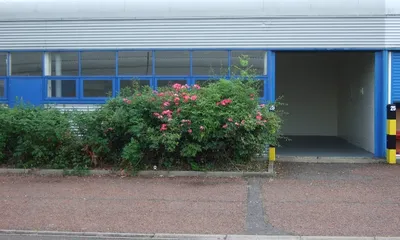 first-view