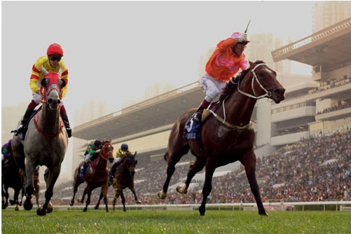 Race Night